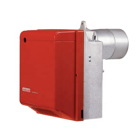 Riello RG4F Installation, use and maintenance instructions