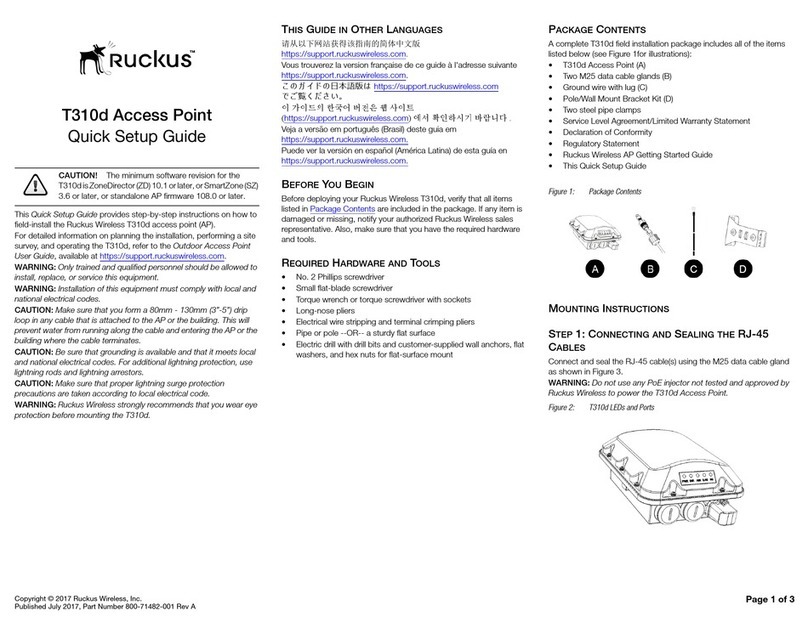 Ruckus Wireless T310d User manual