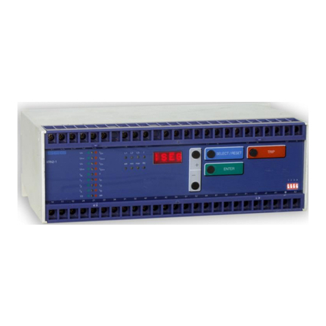 Woodward PROFESSIONAL Series manual