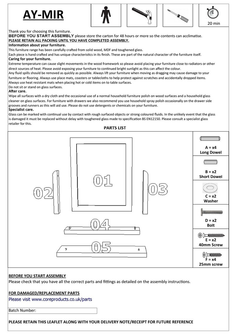 Core Products AY-MIR User manual