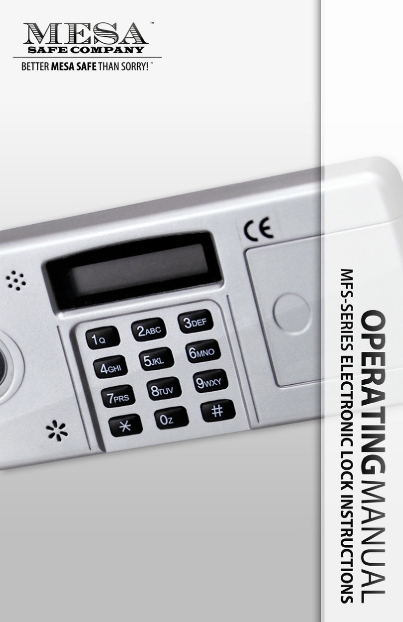 Mesa MFS Series operating manual