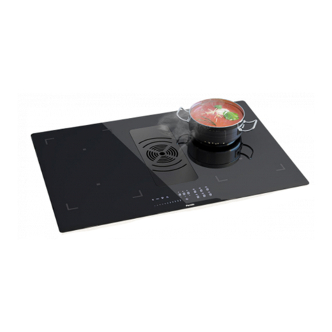 Pando E-390 User manual