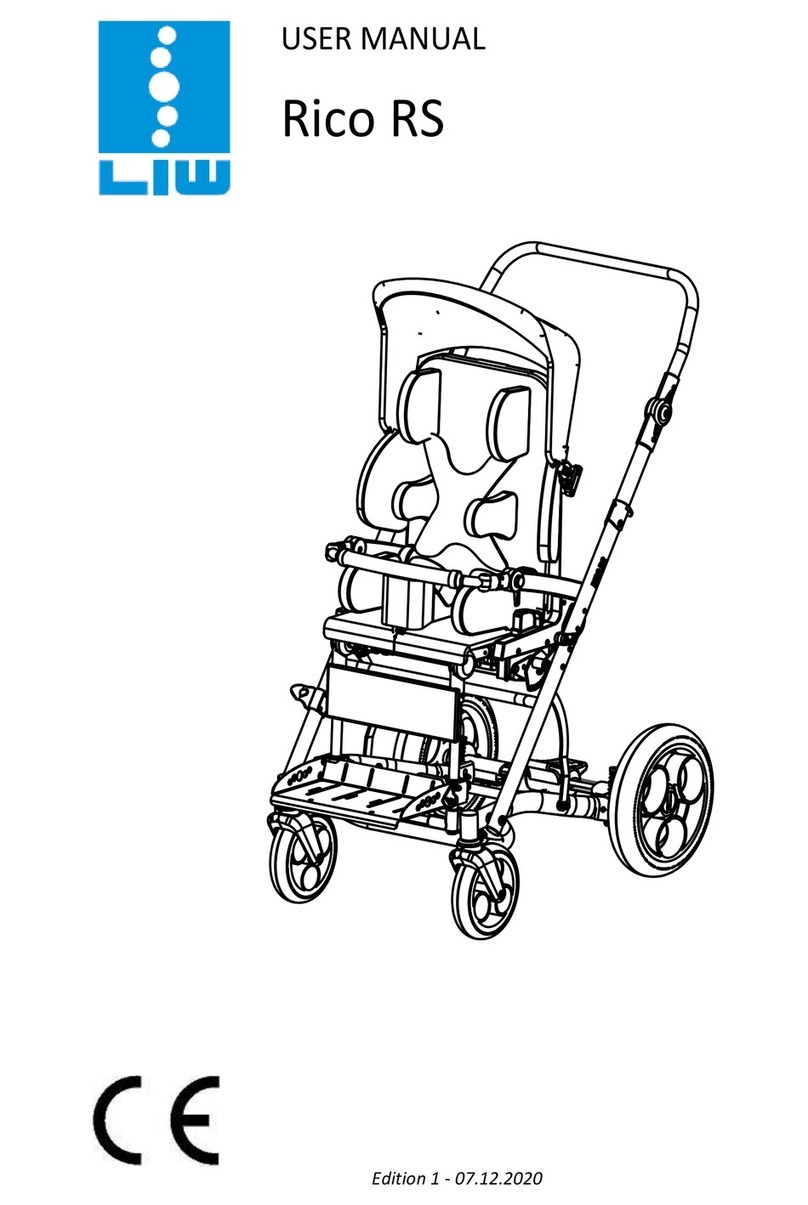 LIW Rico RS user manual