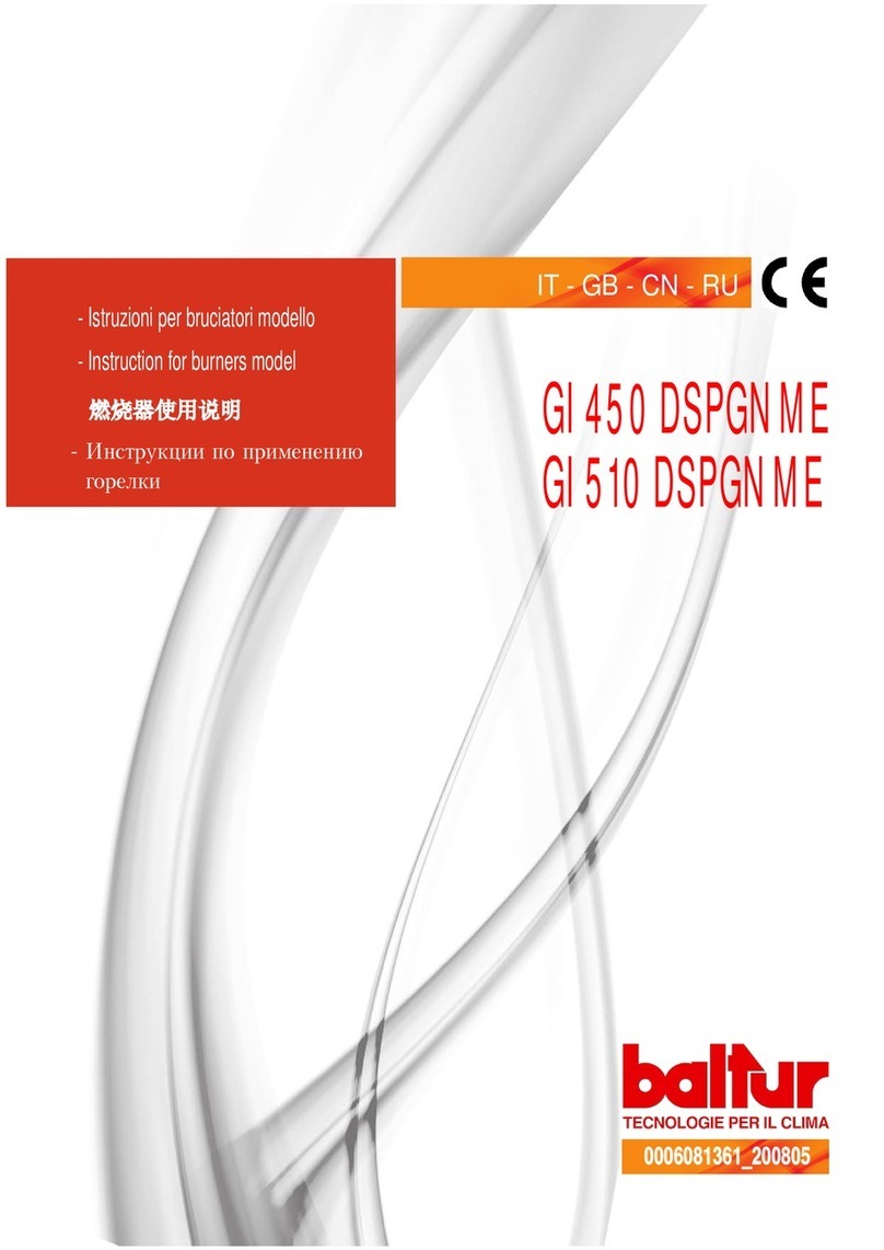 baltur GI Series Instruction baltur GI Series Instruction