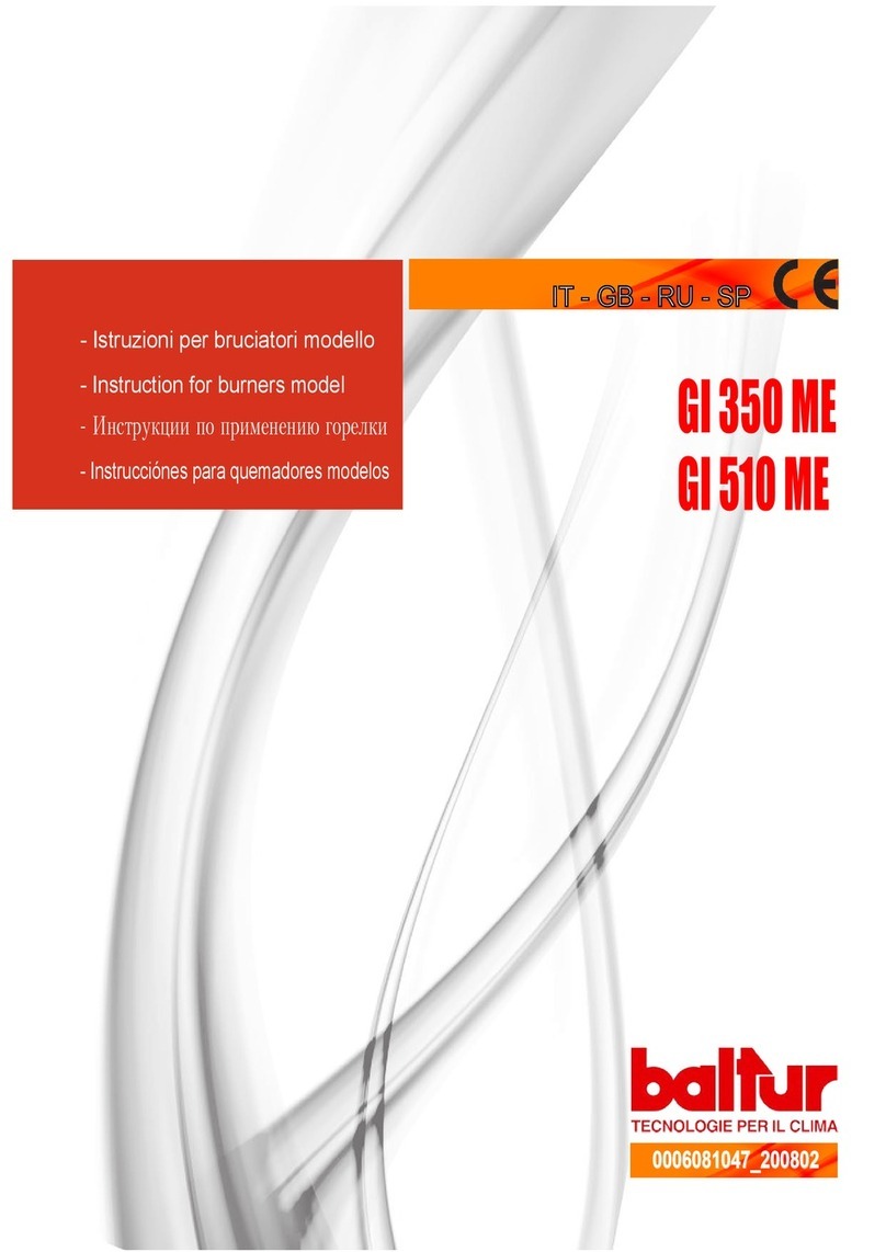 baltur GI Series User manual