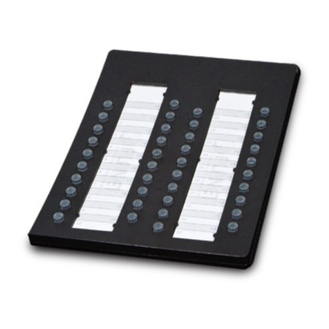 Planet VIP-36EXT Quick installation guide