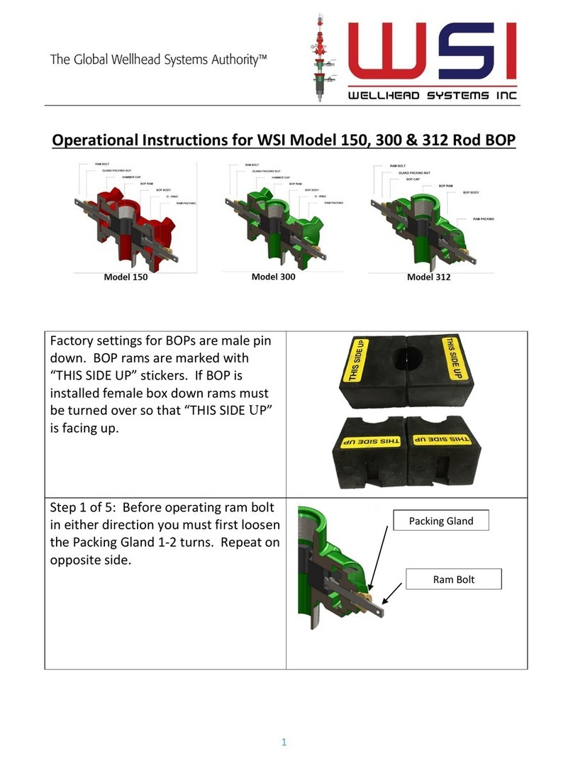 WSI 150 Operational instructions