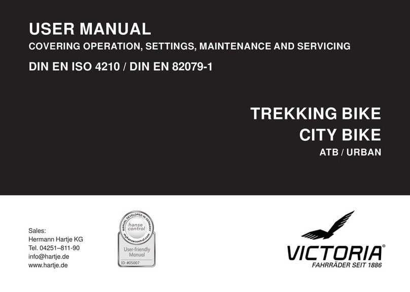 Victoria Din en iSo 4210 user manual