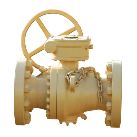Cameron WKM 370D6 User manual