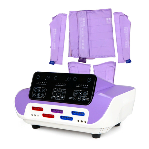 mychway DT-GS300 user manual