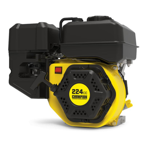 Champion Power Equipment 100738 Operator's manual