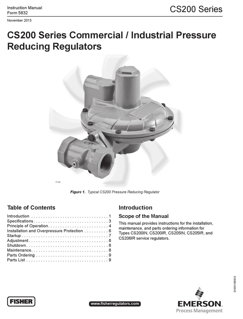 Emerson FISHER CS200 Series User manual