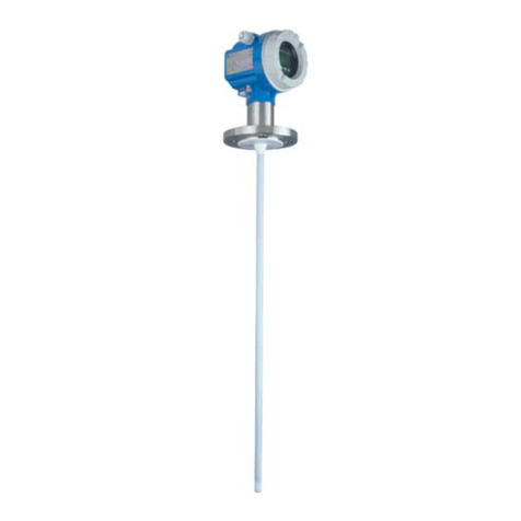 Endress+Hauser Levelflex M FMP41C User manual