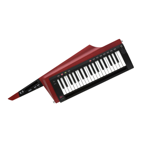 Korg RK-100S 2 User manual