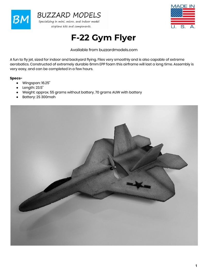 Buzzard Models F-22 Gym Flyer instructions