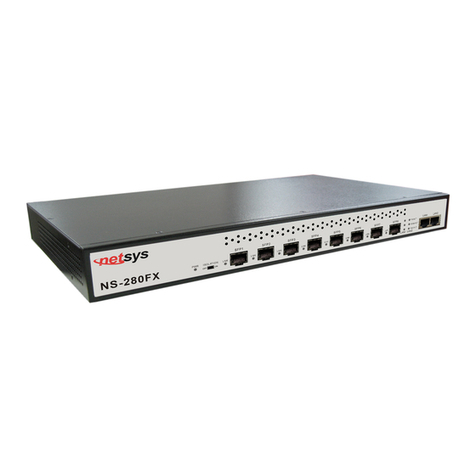 netsys NS-280FX user manual