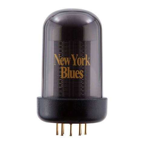 Roland Blues Cube BC TC-NY User manual
