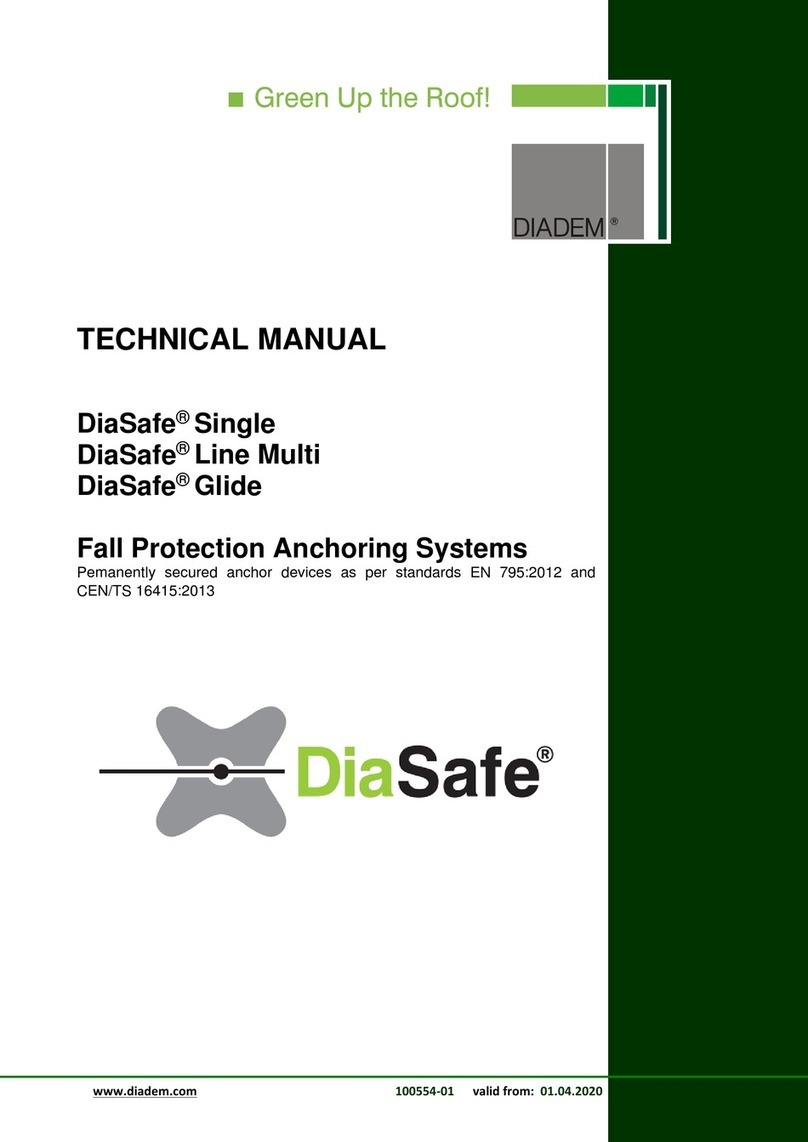 DIADEM DiaSafe Single Technical manual