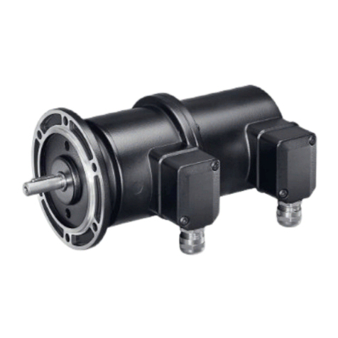 Baumer TDP 0,2+OG 9 User manual