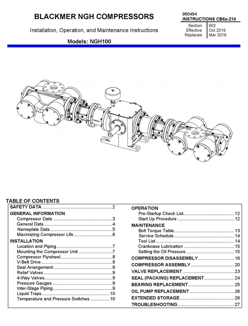 BLACKMER NGH1013 Installation, operation and maintenance instructions