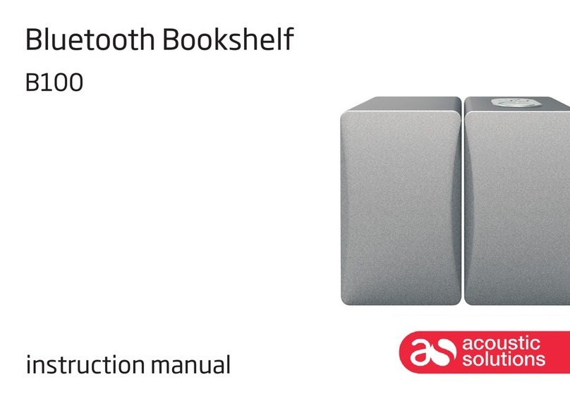 ACOUSTIC SOLUTIONS B100 instruction manual
