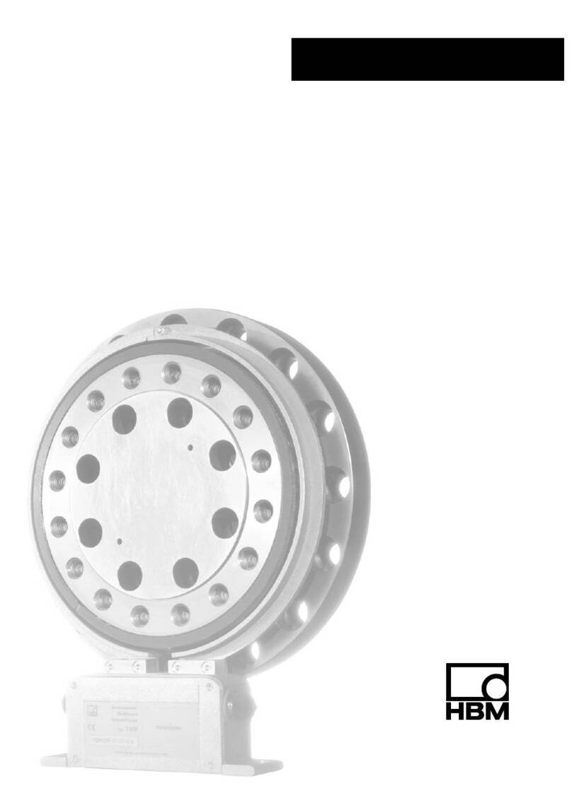 HBM T10FM Mounting instructions