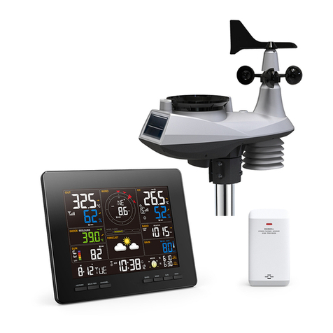 Froggit WH6000 PRO User manual