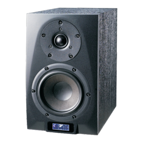 iCON Pro Audio Definitor air Series owner's manual