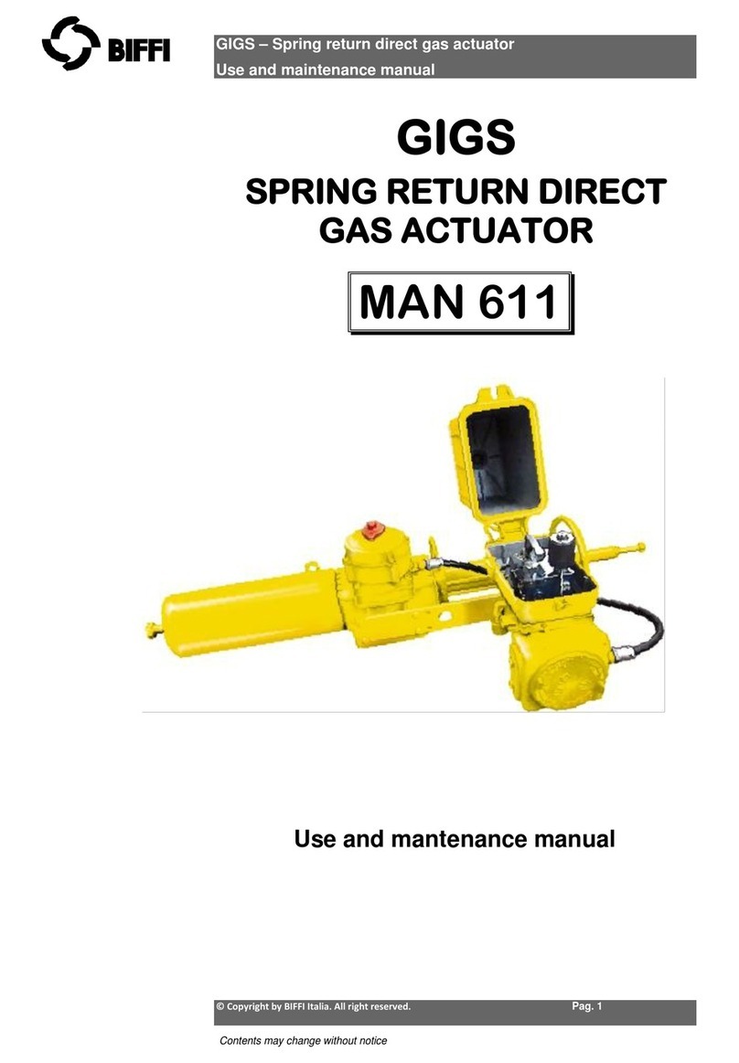 BIFFI GIGS 0.3 User manual BIFFI GIGS 0.3 User manual