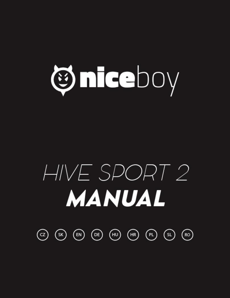 Niceboy Hive Sport 2 manual