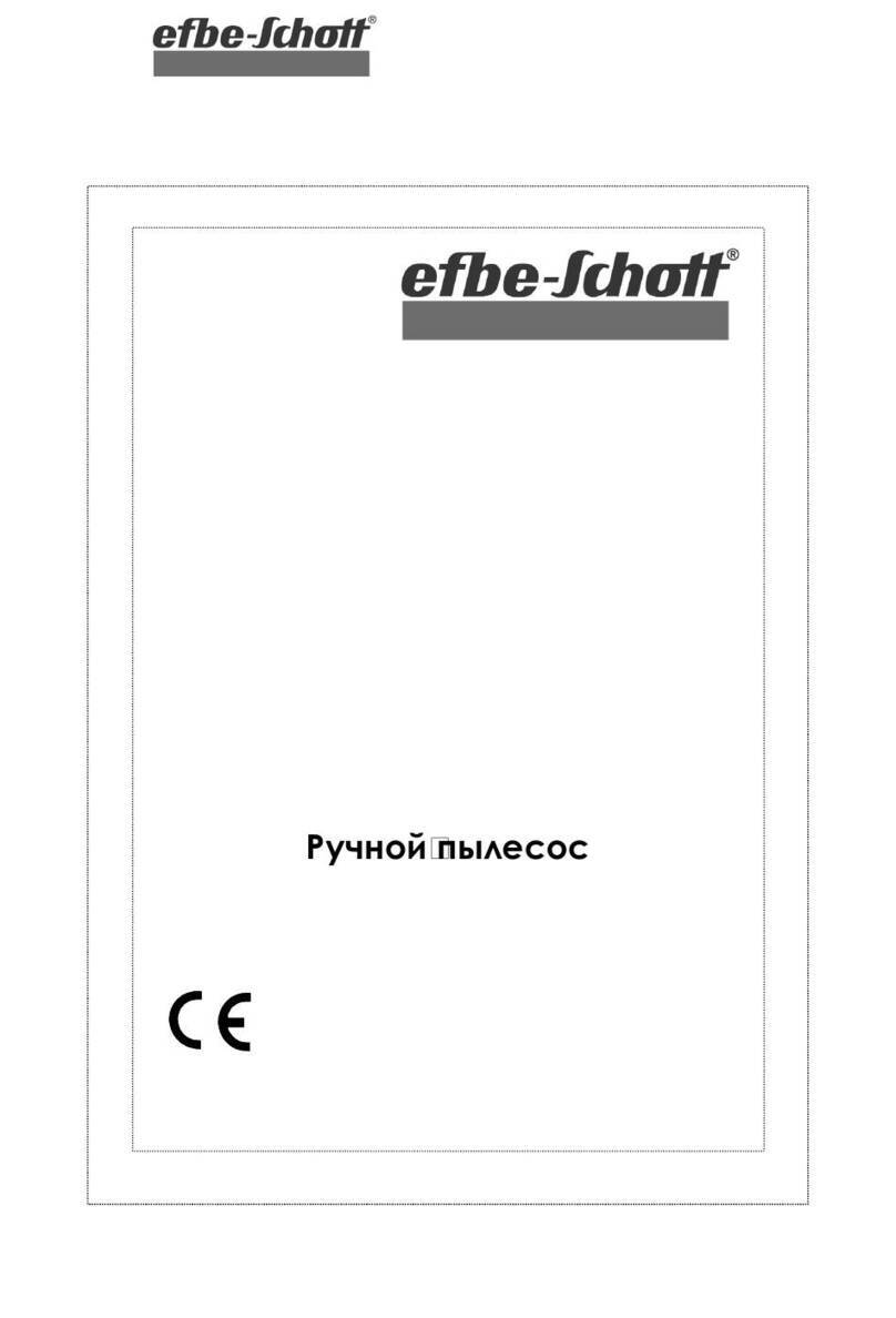 EFBE-SCHOTT Stormy manual