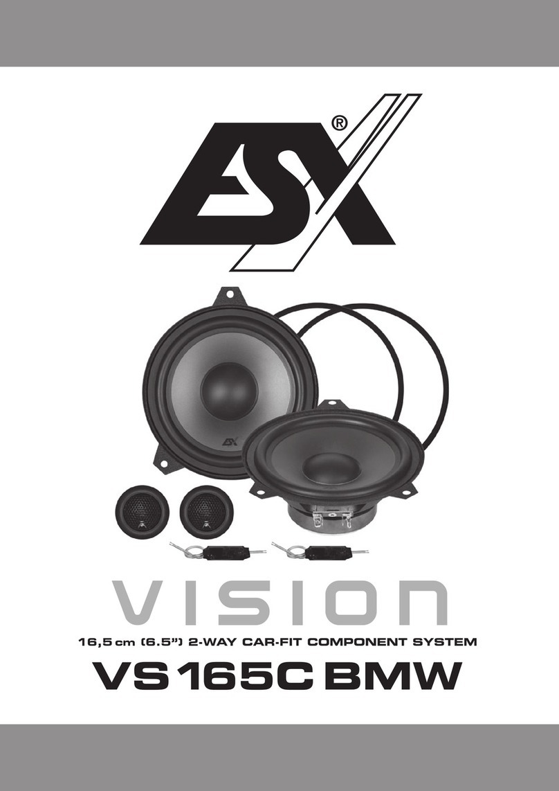 ESX VISION VS165C BMW manual
