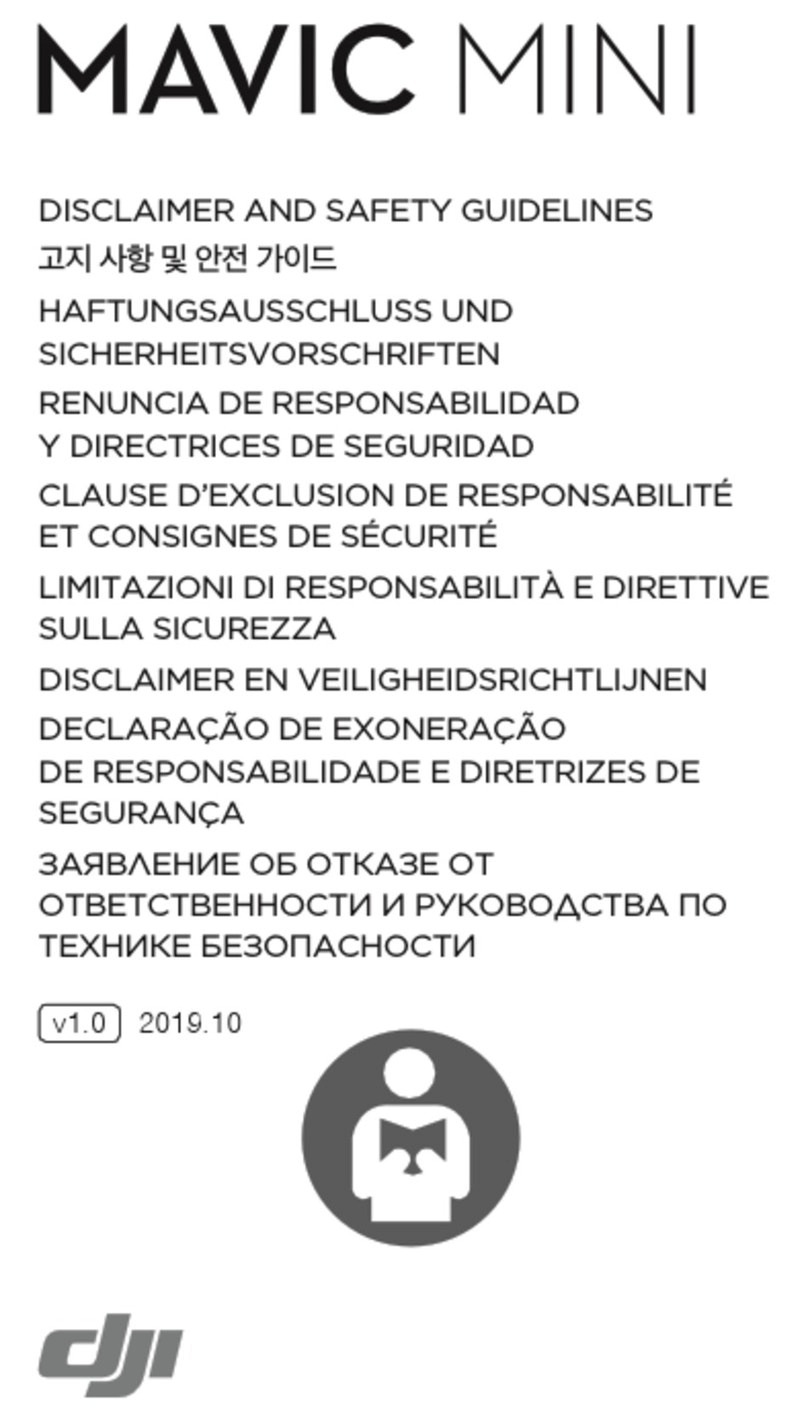 dji MAVIC MINI Instruction Manual