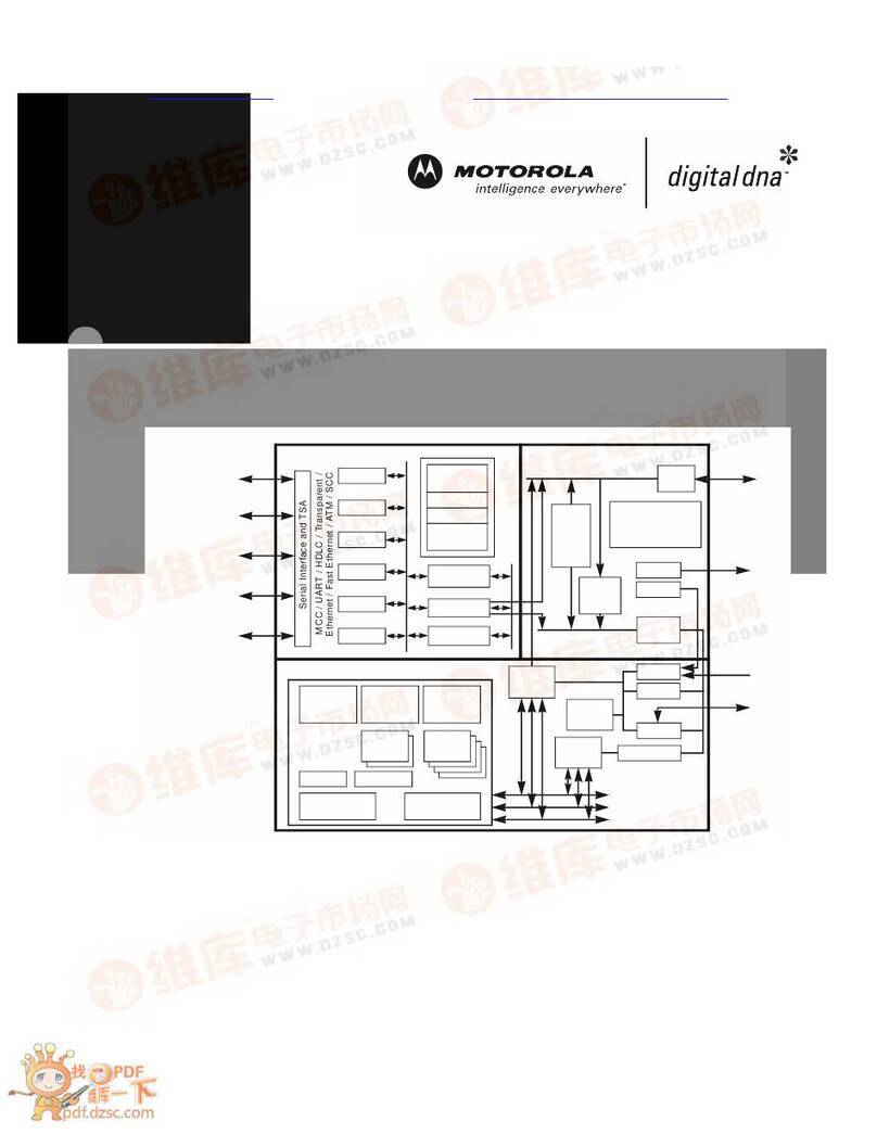 Motorola Digital DNA MSC8101 Instruction manual