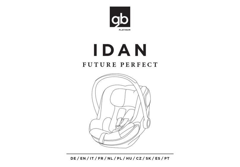 GB IDAN manual