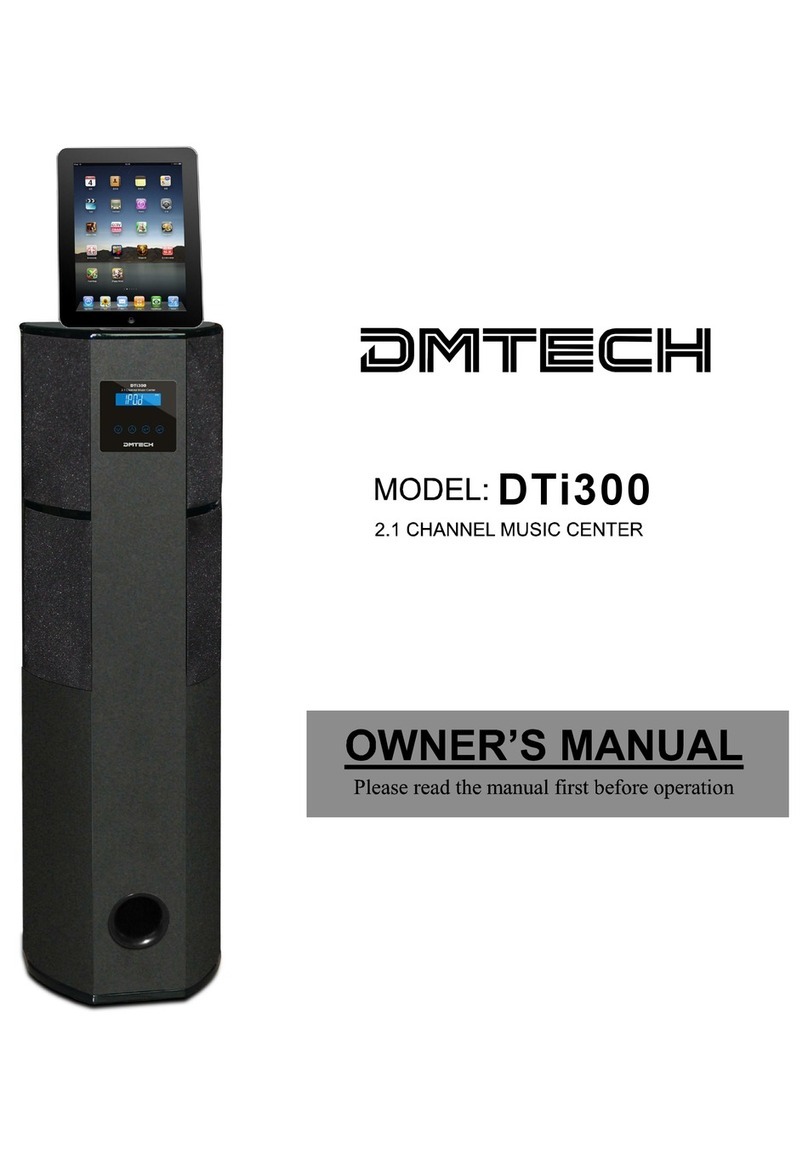 DM TECH DTi300 User manual