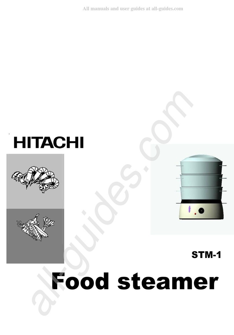 Hitachi STM-1 manual
