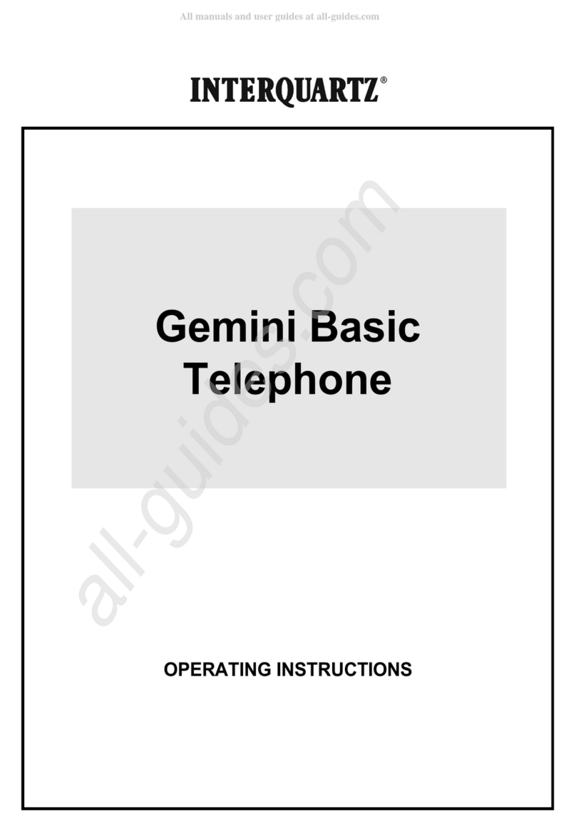 Interquartz Gemini Basic operating instructions
