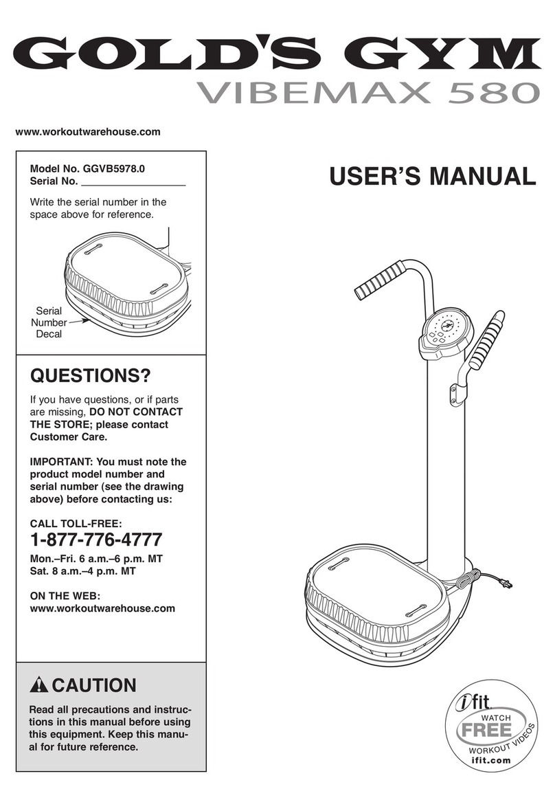 Gold's Gym VIBEMAX 580 user manual