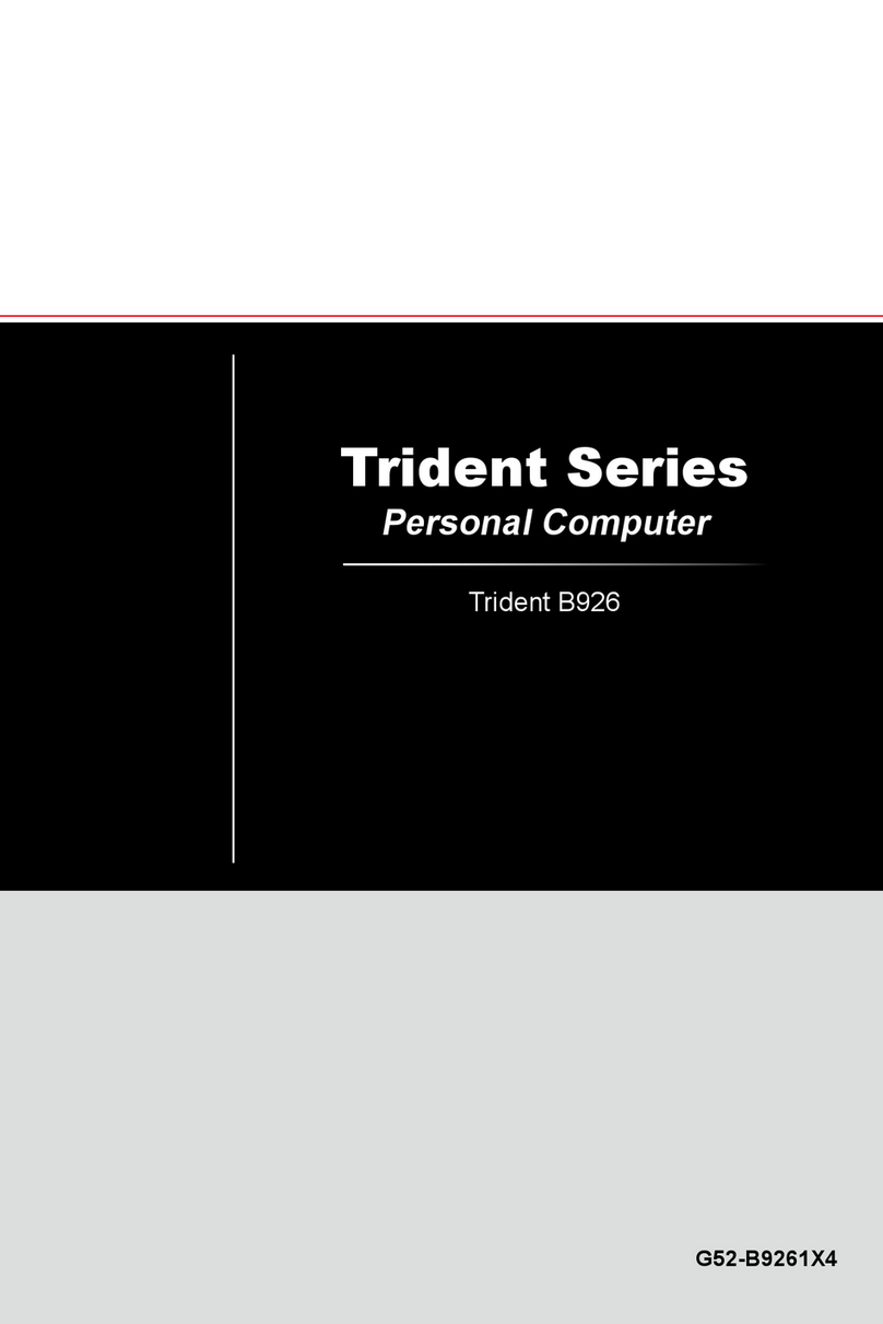Trident Trident Series Service manual