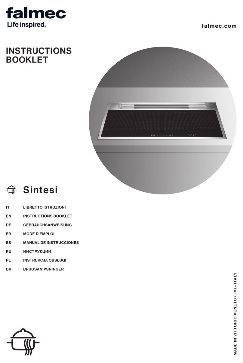 FALMEC Sintesi Instruction booklet FALMEC Sintesi Instruction booklet