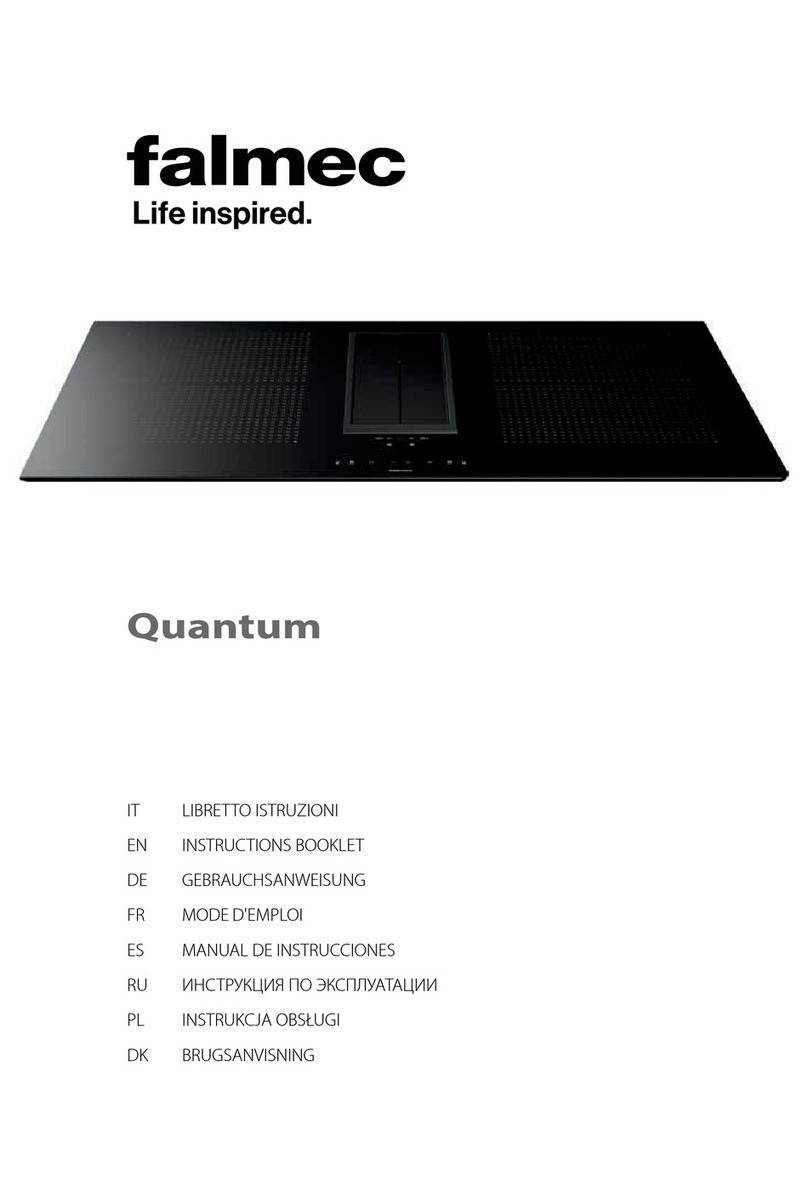 FALMEC Quantum User manual