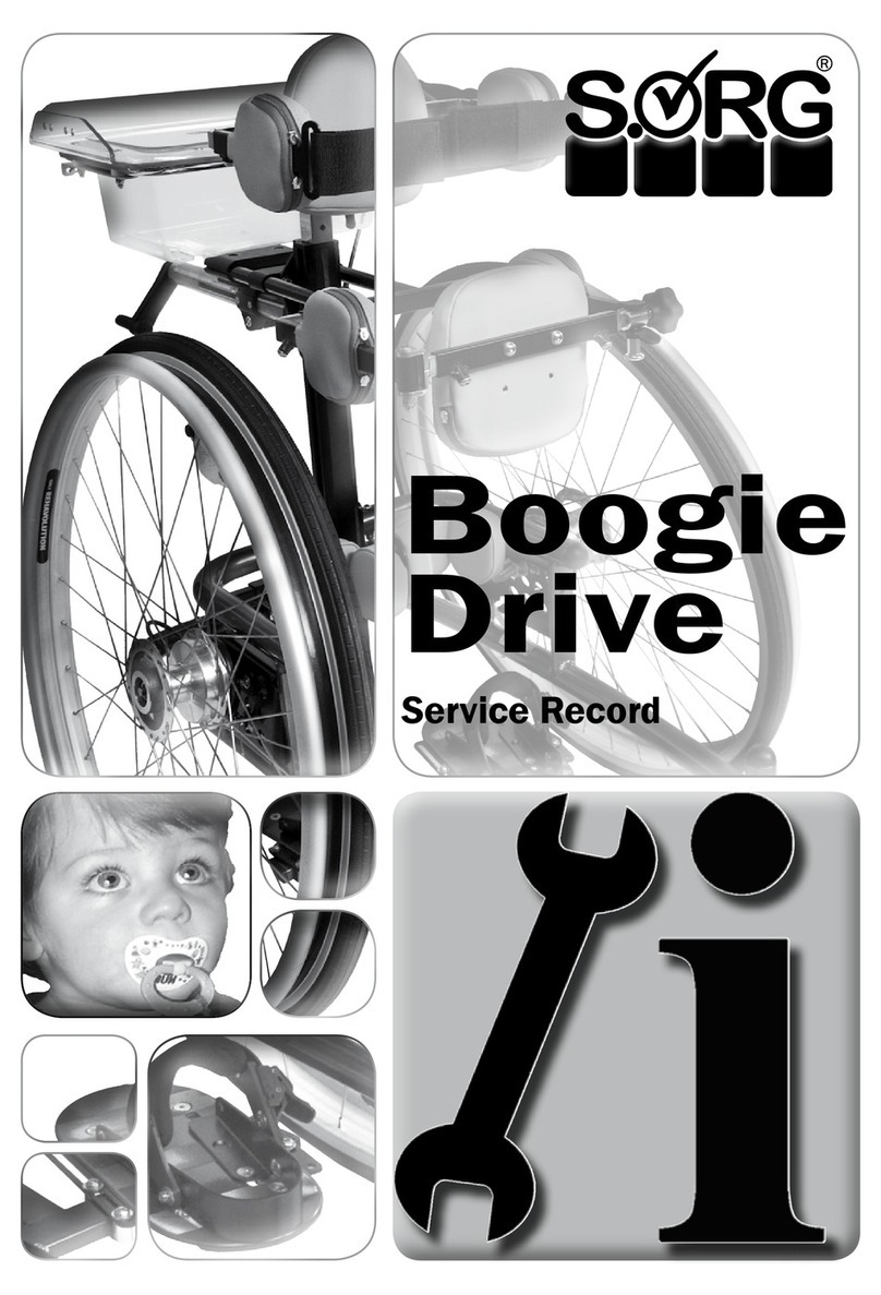 SORG Boogie Drive Service Record SORG Boogie Drive Service Record