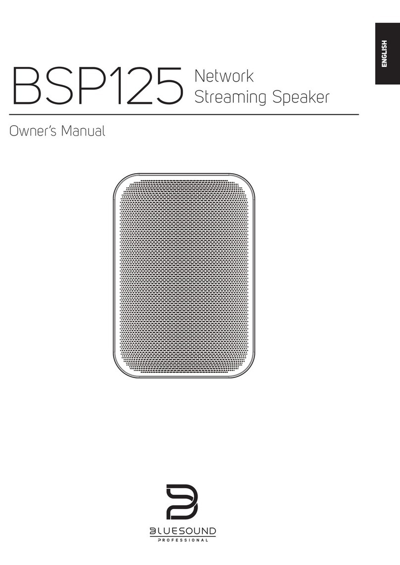 Bluesound BSP125 owner's manual