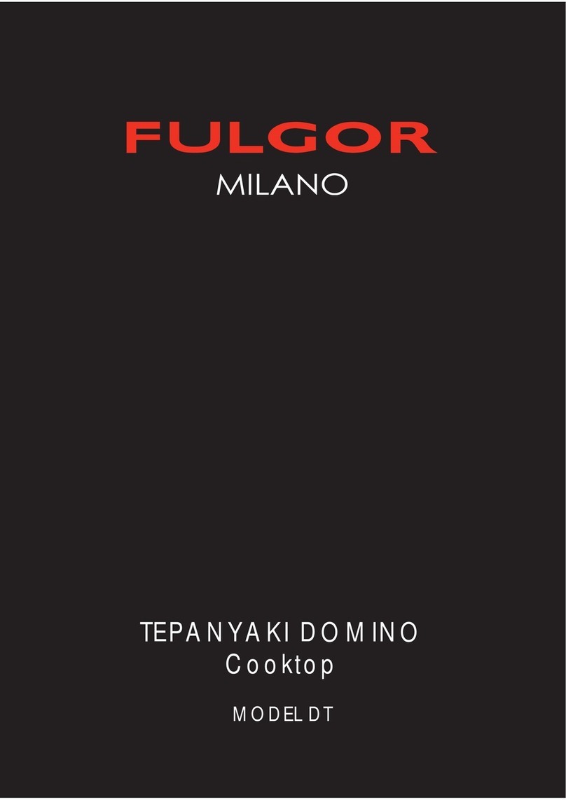 Fulgor Milano TEPANYAKI DOMINO DT manual