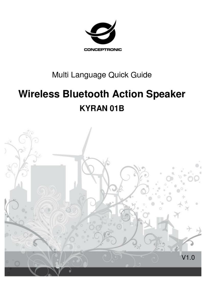 Conceptronic KYRAN 01B User manual