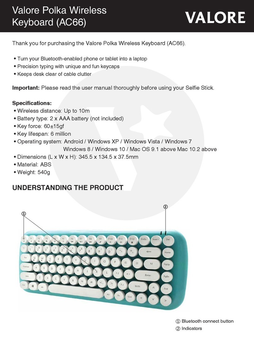 Valore Polka AC66 User manual