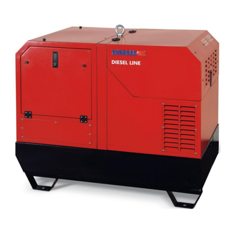Endress ESE 1008 LG ES DIESEL DUPLEX SILENT user manual