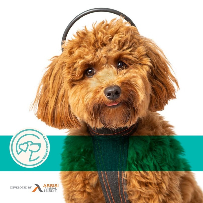 Assisi Animal Health CALMER CANINE user manual
