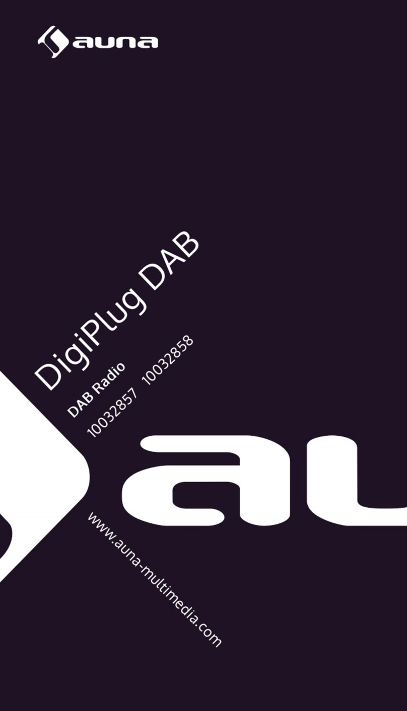 auna DigiPlug DAB User manual